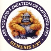 ARE YOU GOD'S CREATION OR DARWIN'S APE?