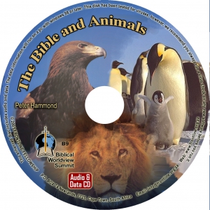 BIBLE AND ANIMALS CD