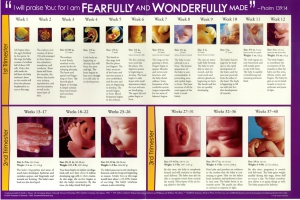 POSTER - FEARFULLY / WONDERFULLY MADE