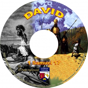 DAVID - CD