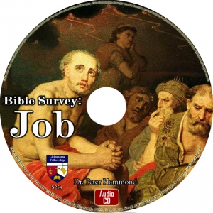 BIBLE SURVEY: JOB