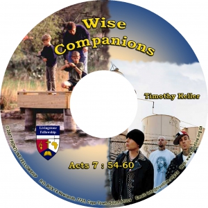 WISE COMPANIONS - CD