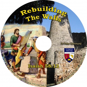 REBUILDING THE WALLS - CD