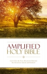 Amplified Bible HC