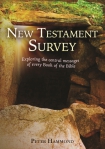 New Testament Survey