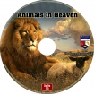 ANIMALS IN HEAVEN